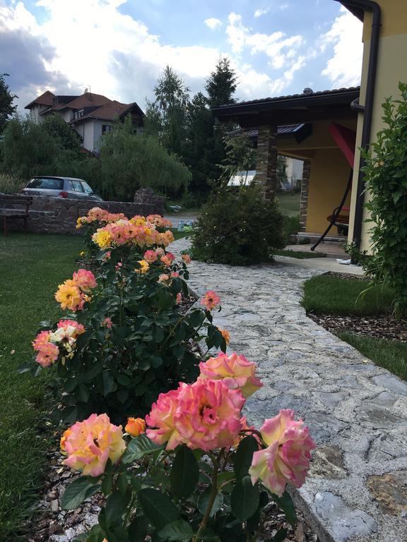 Omiljeni Apartments Zlatibor Zewnętrze zdjęcie
