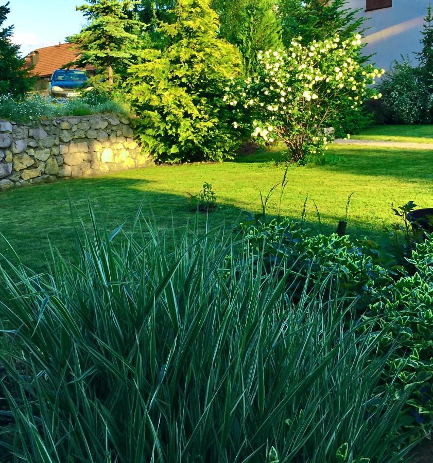 Omiljeni Apartments Zlatibor Zewnętrze zdjęcie