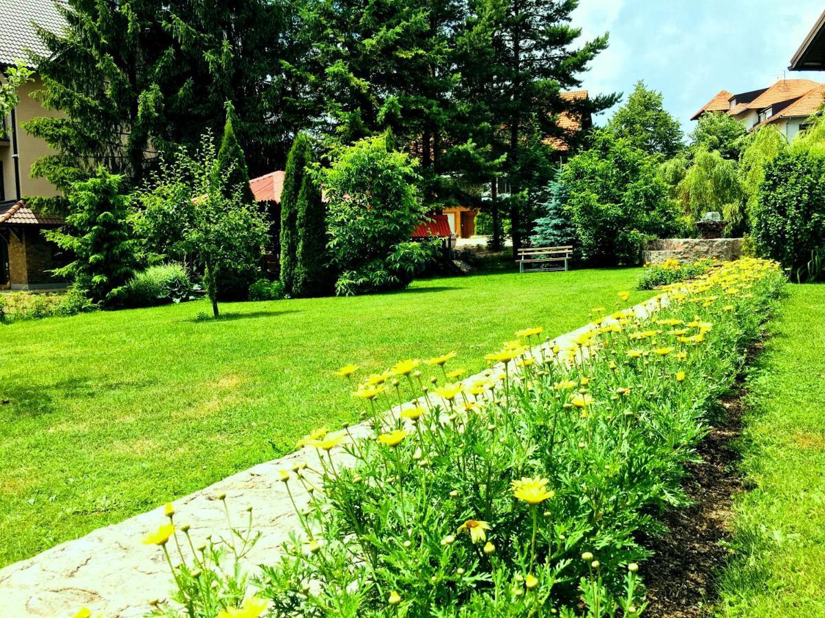 Omiljeni Apartments Zlatibor Zewnętrze zdjęcie